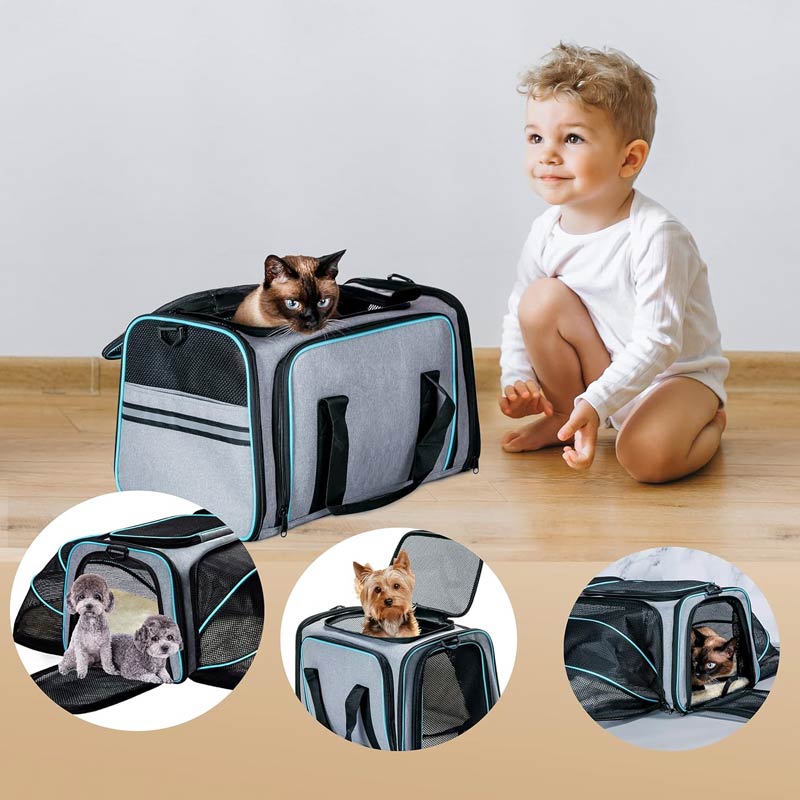 Airline Approved Pet Carrier
