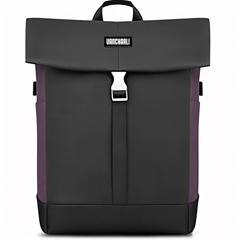 Wholesale High Quality Business Professionals Daypack With Oem And Odm