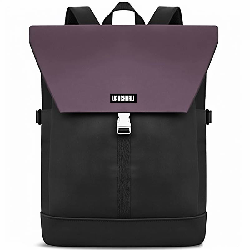 Wholesale High Quality Business Professionals Daypack With Oem And Odm